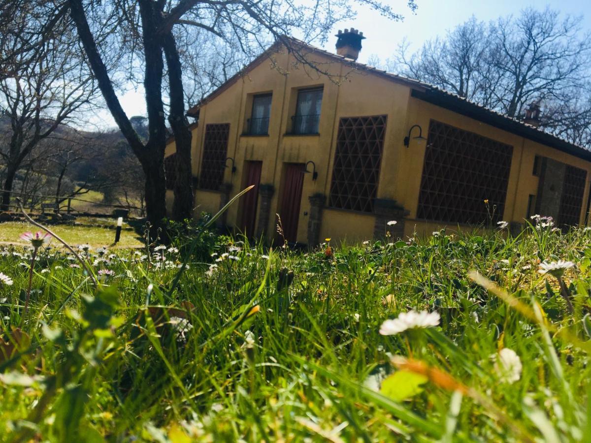 Viva House Villa Montaione Luaran gambar
