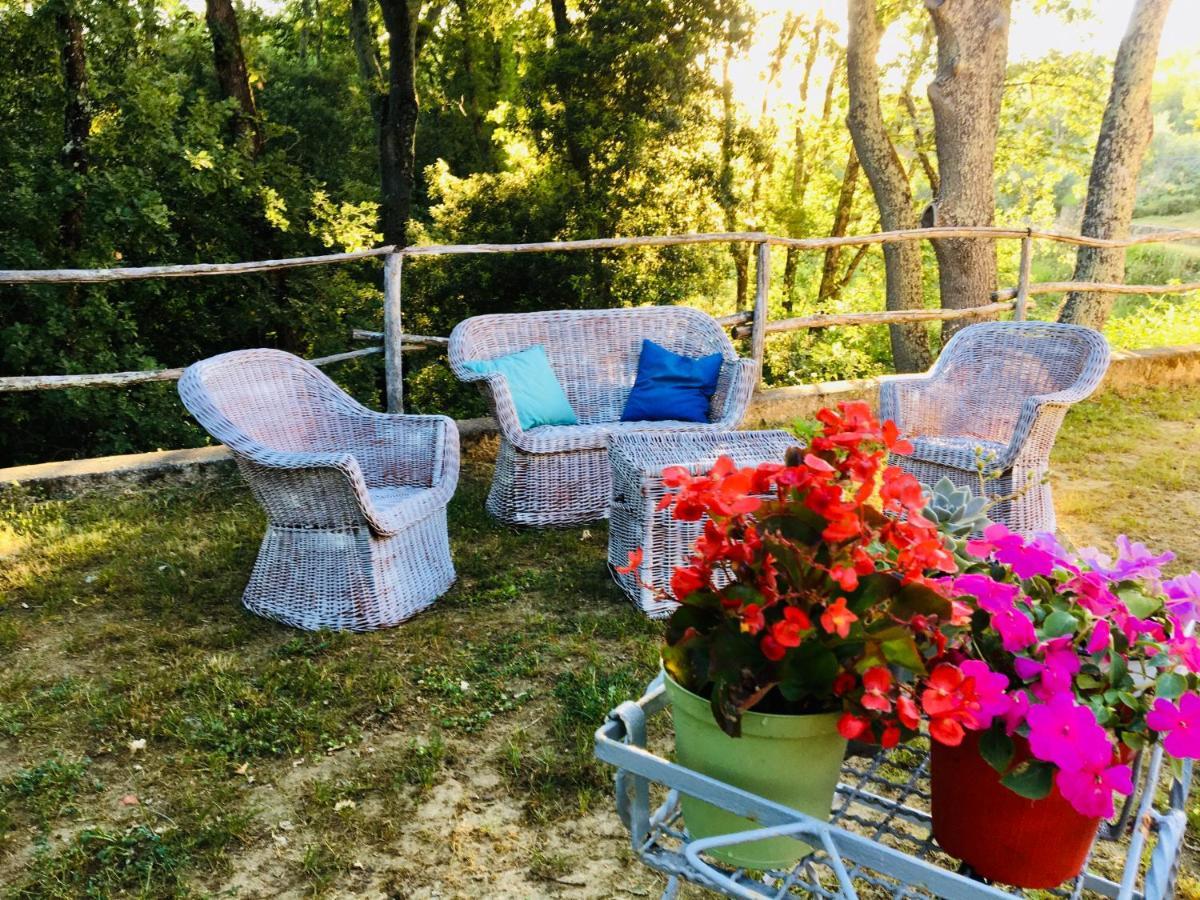 Viva House Villa Montaione Luaran gambar